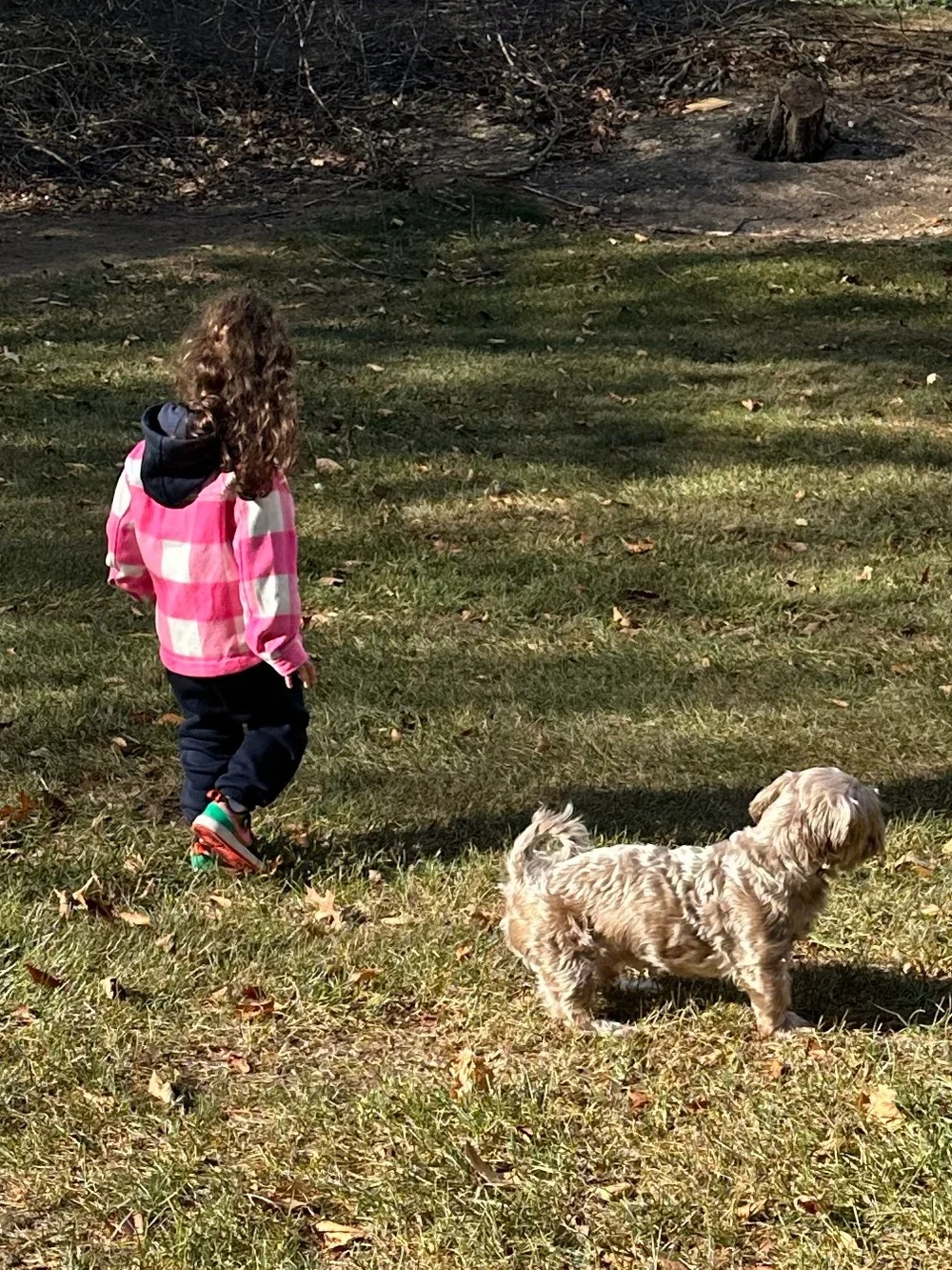 Old Navy Pink & White Plaid Kids Jean Jacket